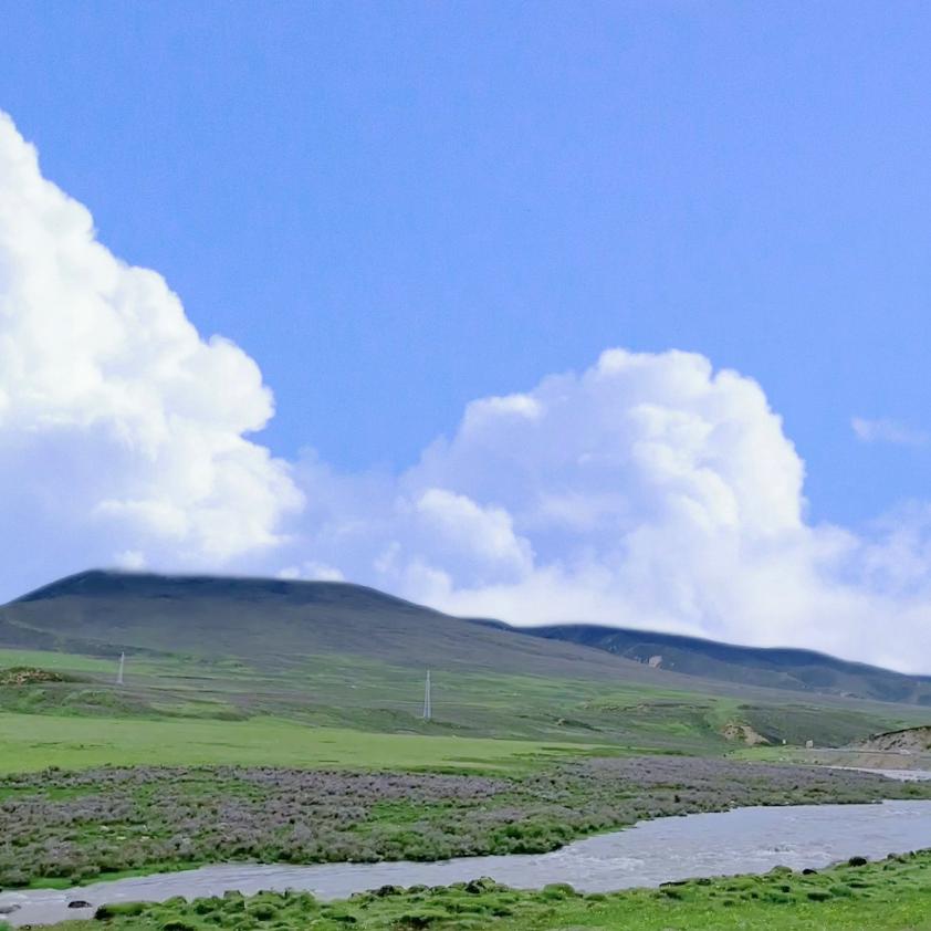 与你天涯