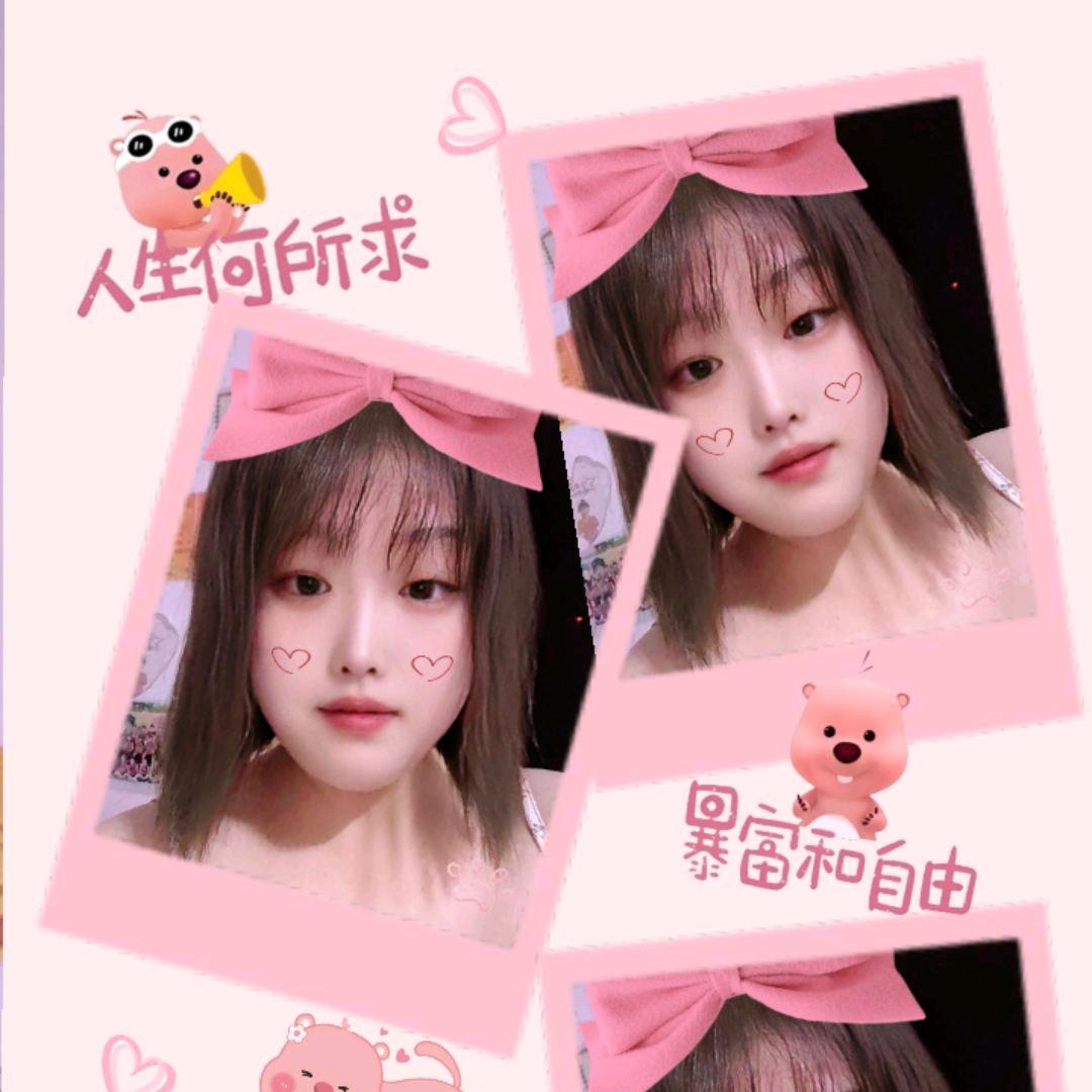 真善美月月