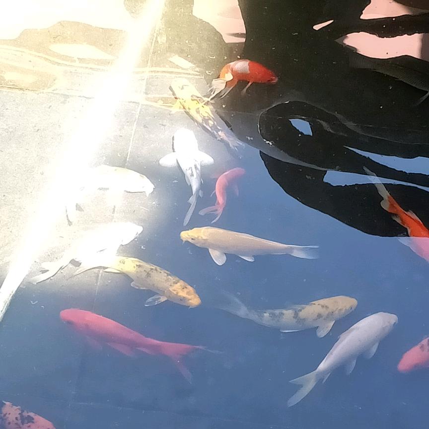 小王百货严选