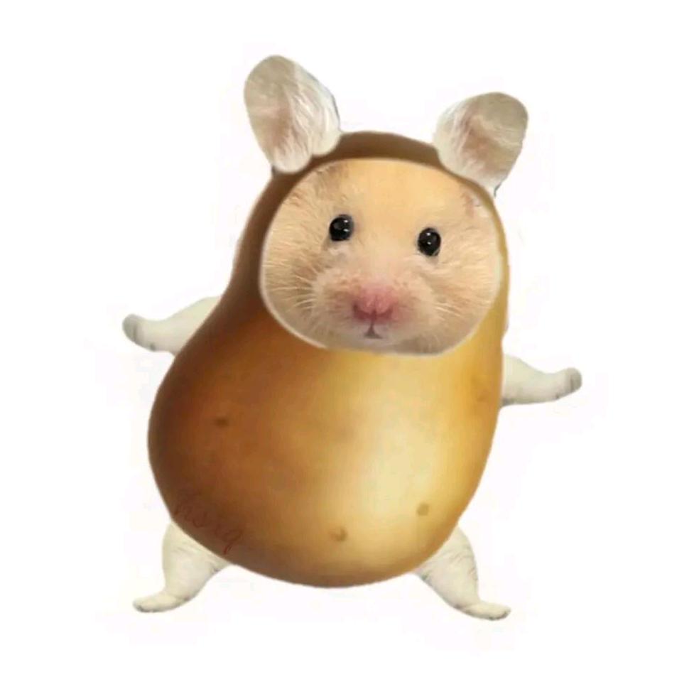 火鸡面统治世界