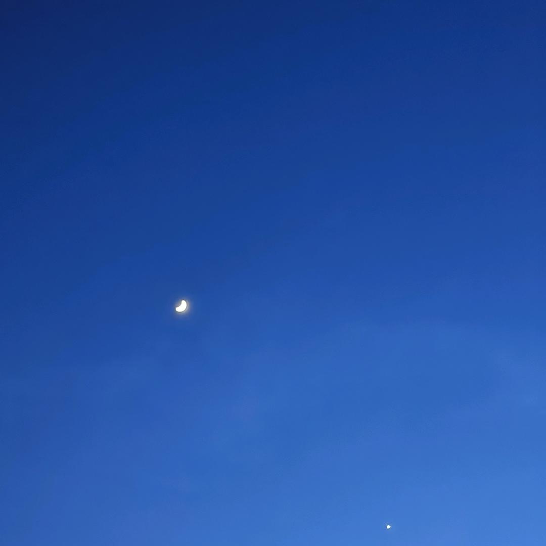 小烨烨