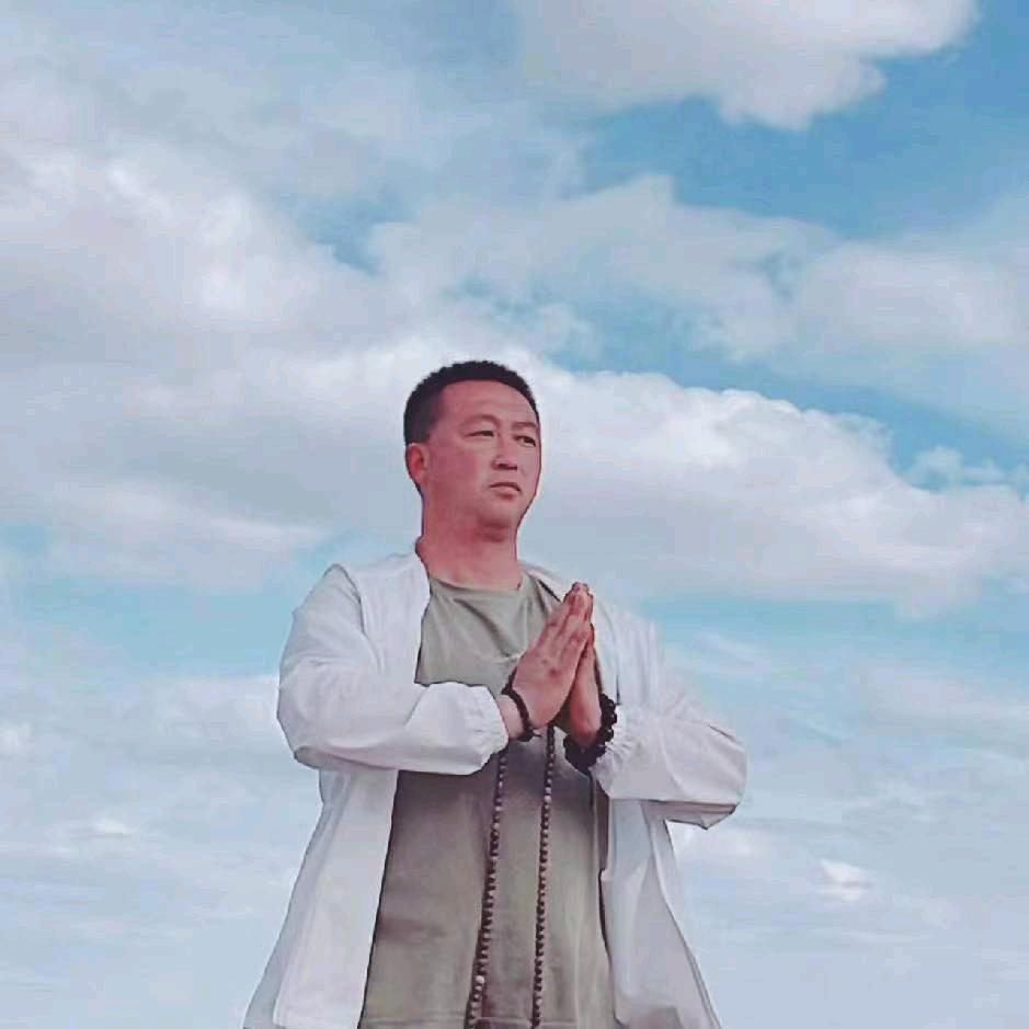 全国飞海龙