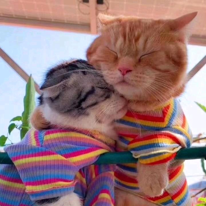 越来越好~相依为命