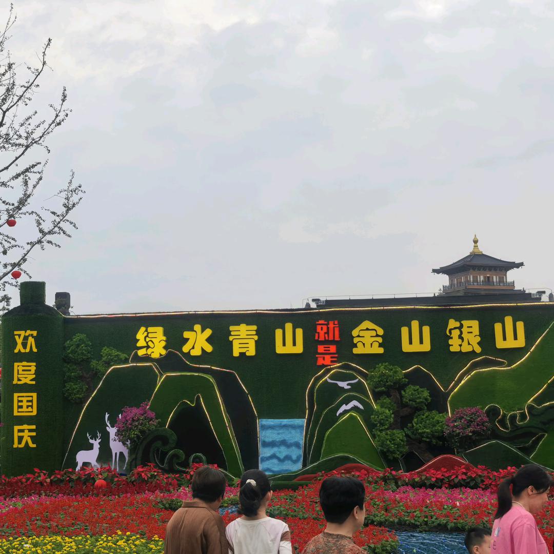 芬芬