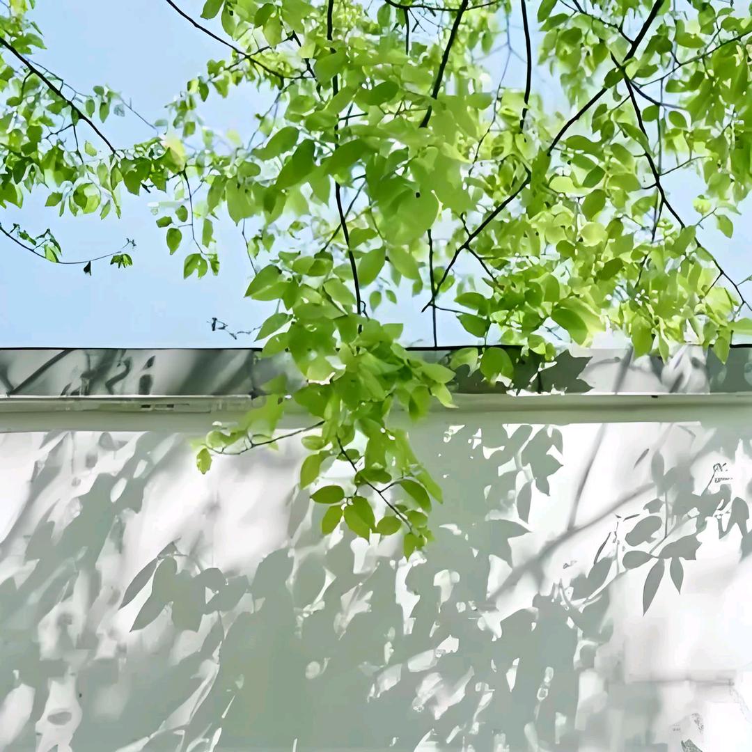 清风徐来@
