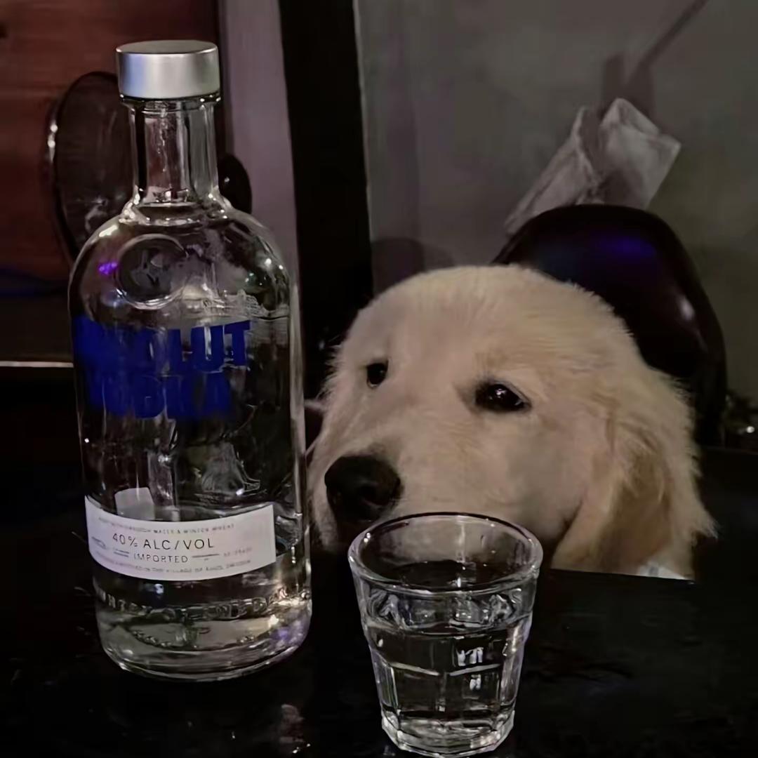Guts许言