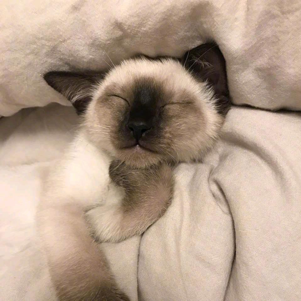 虚焦