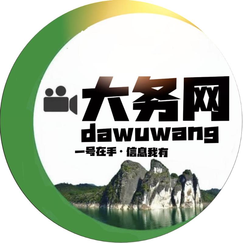 大务网