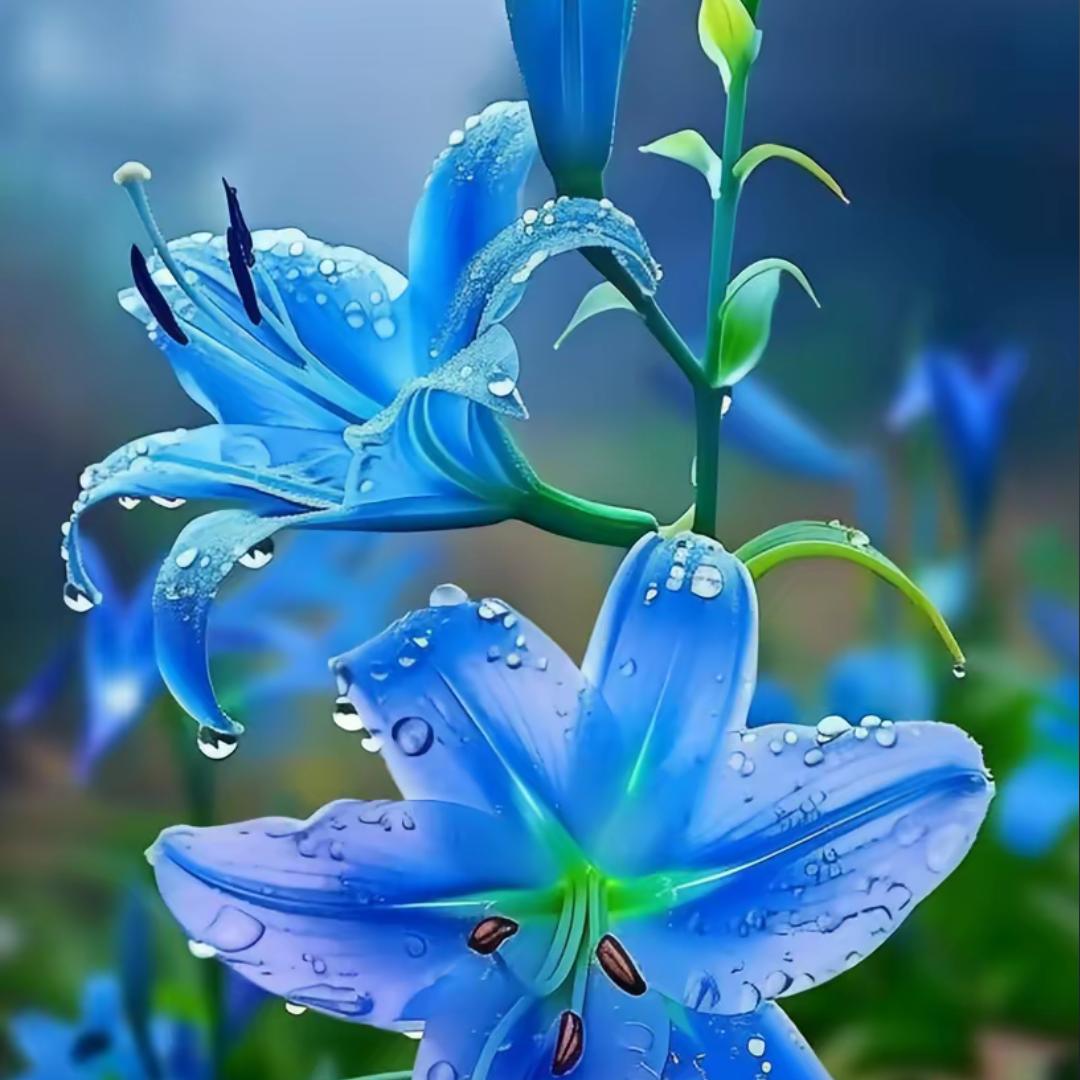 🍒🍁不问归期🍇🍒