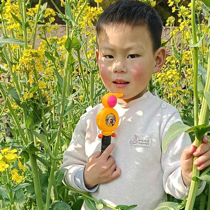 为了生活而奋斗