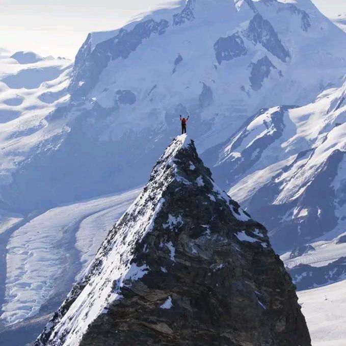 借欢赏商贸公司杰总