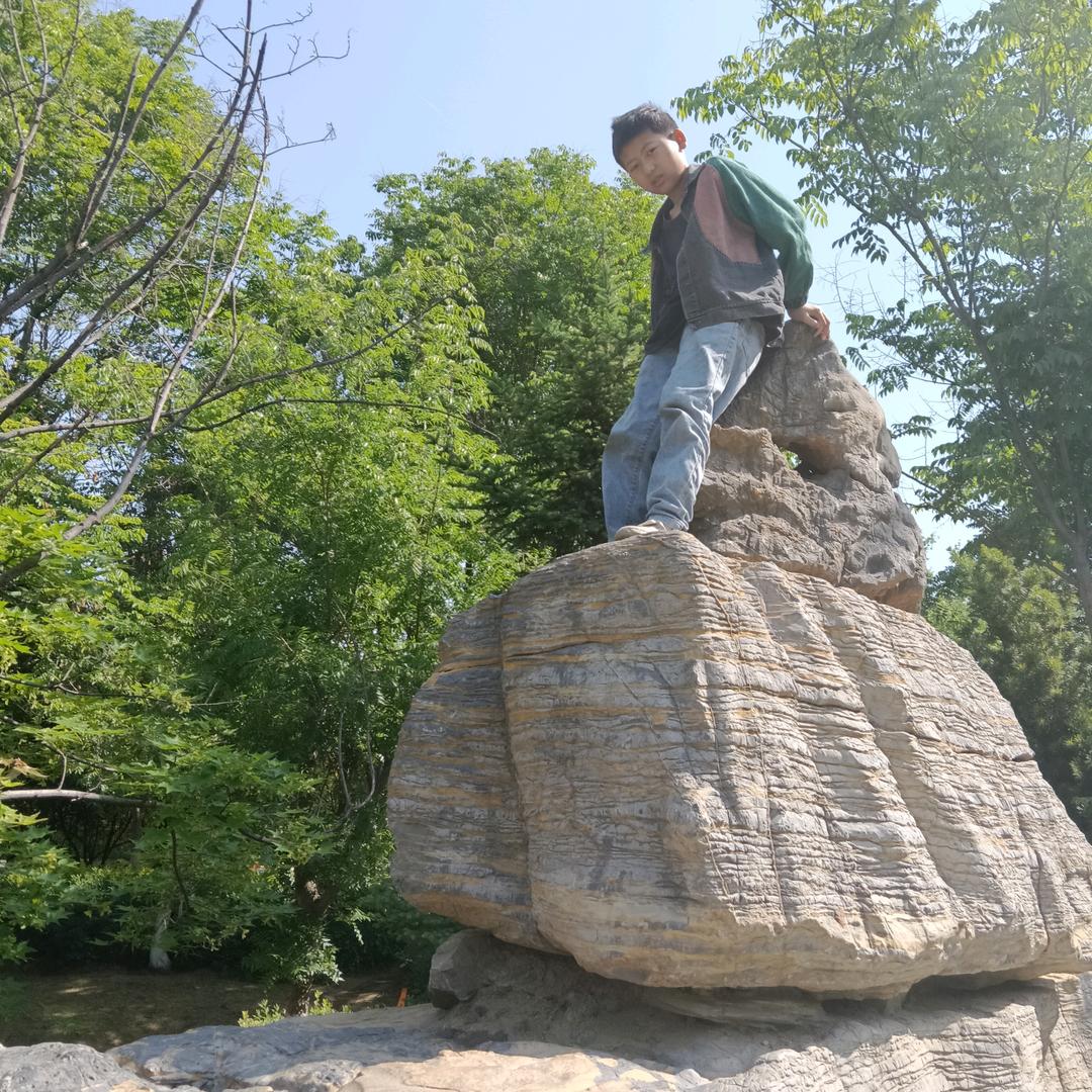 骑着老虎追美女