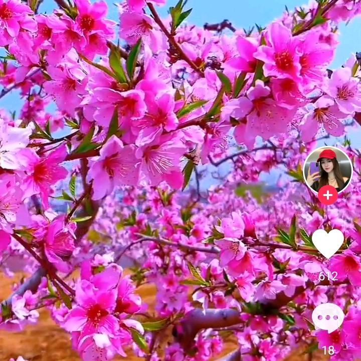 满天彩虹
