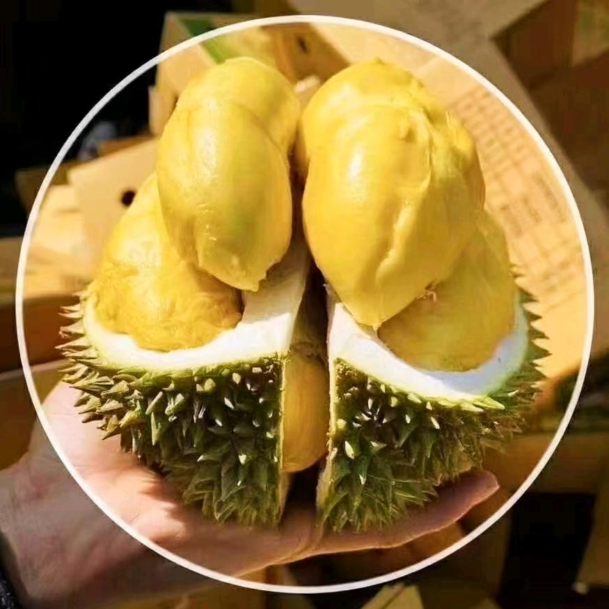 @ 油腻大叔