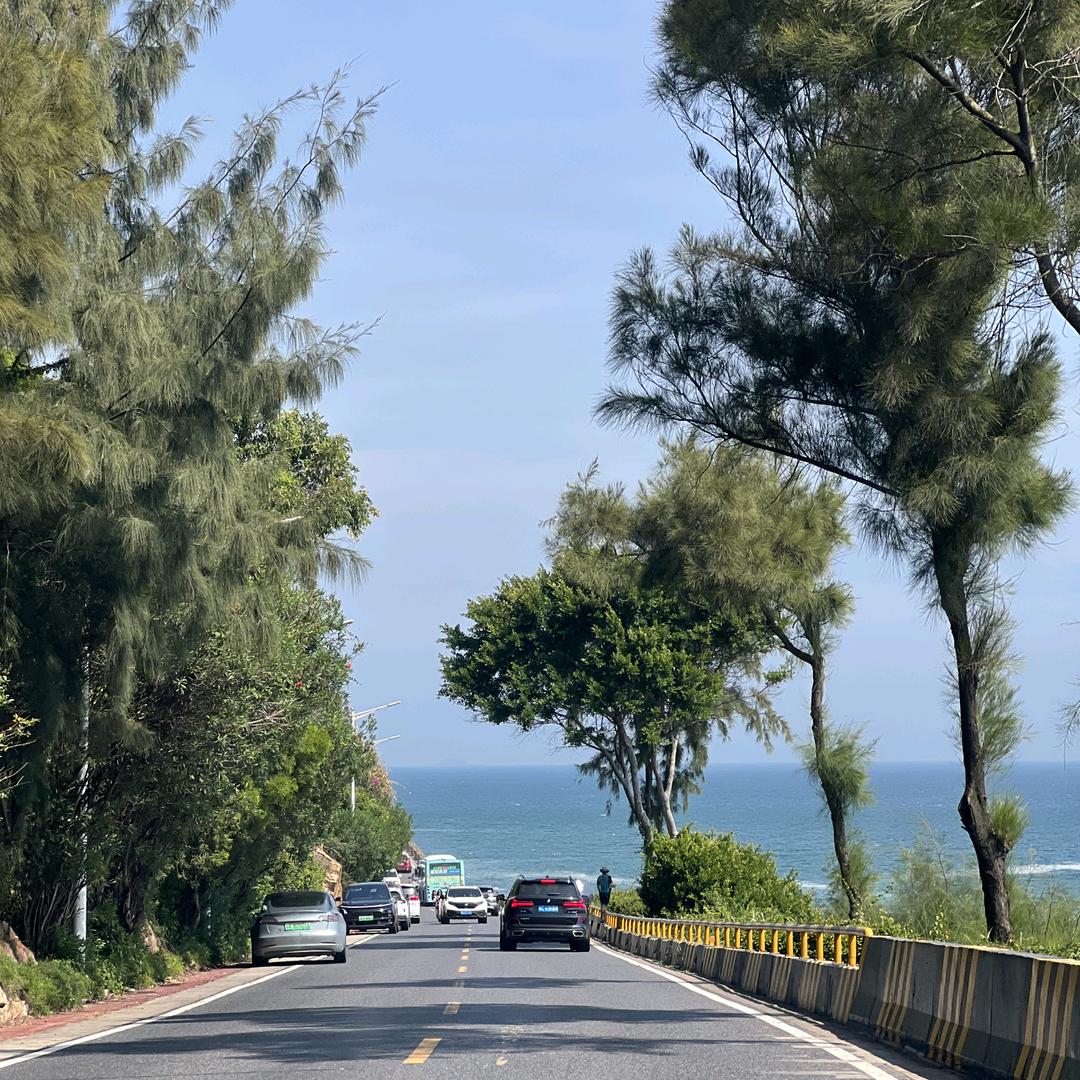陈旅行鸭