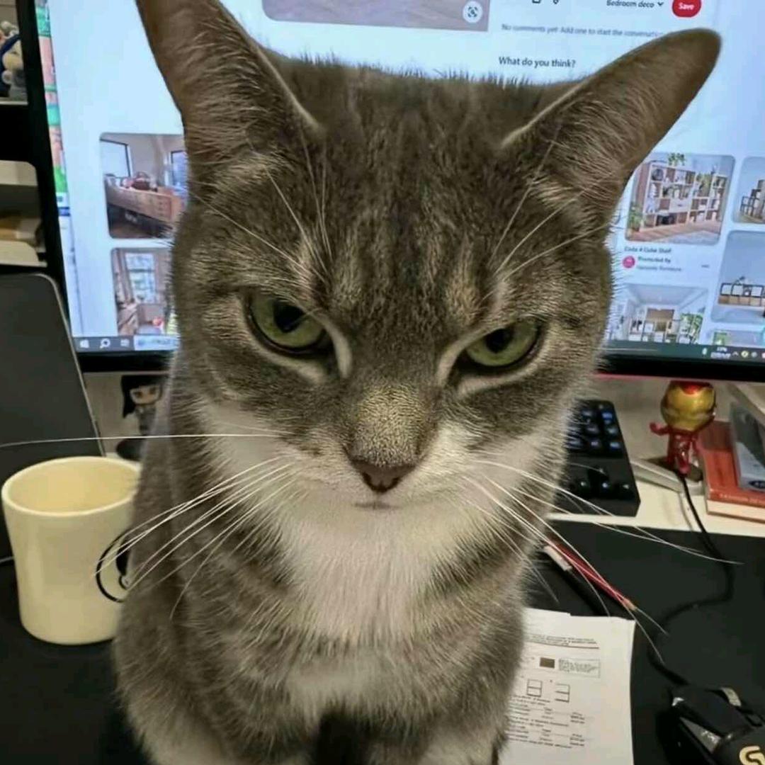 小小怪下士