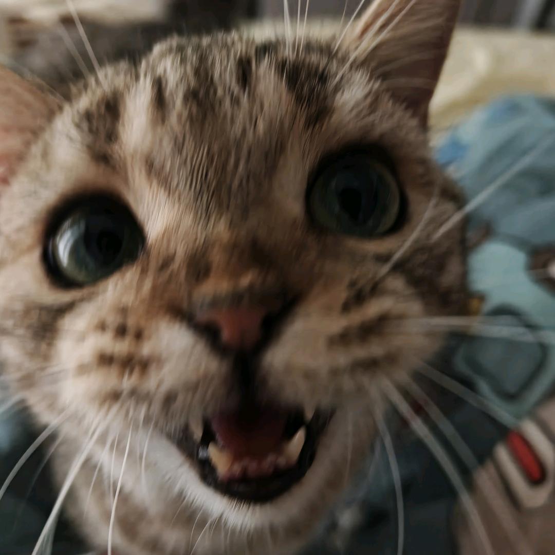 嘻嘻哈哈😃