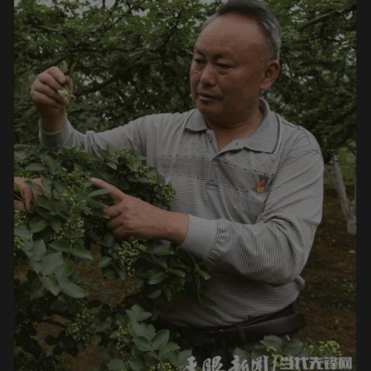 农村新创业者
