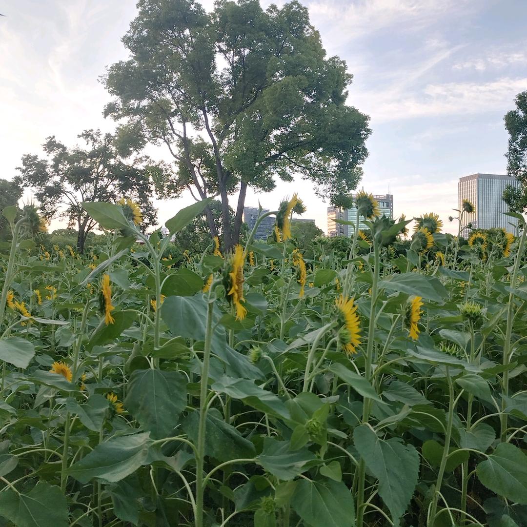 做个快乐的女人