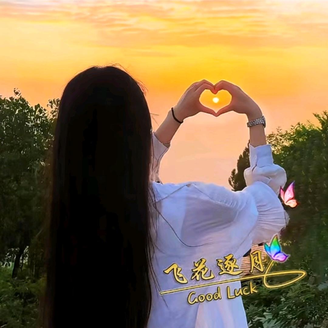 🕊᭄飞花💞逐月🕊᭄