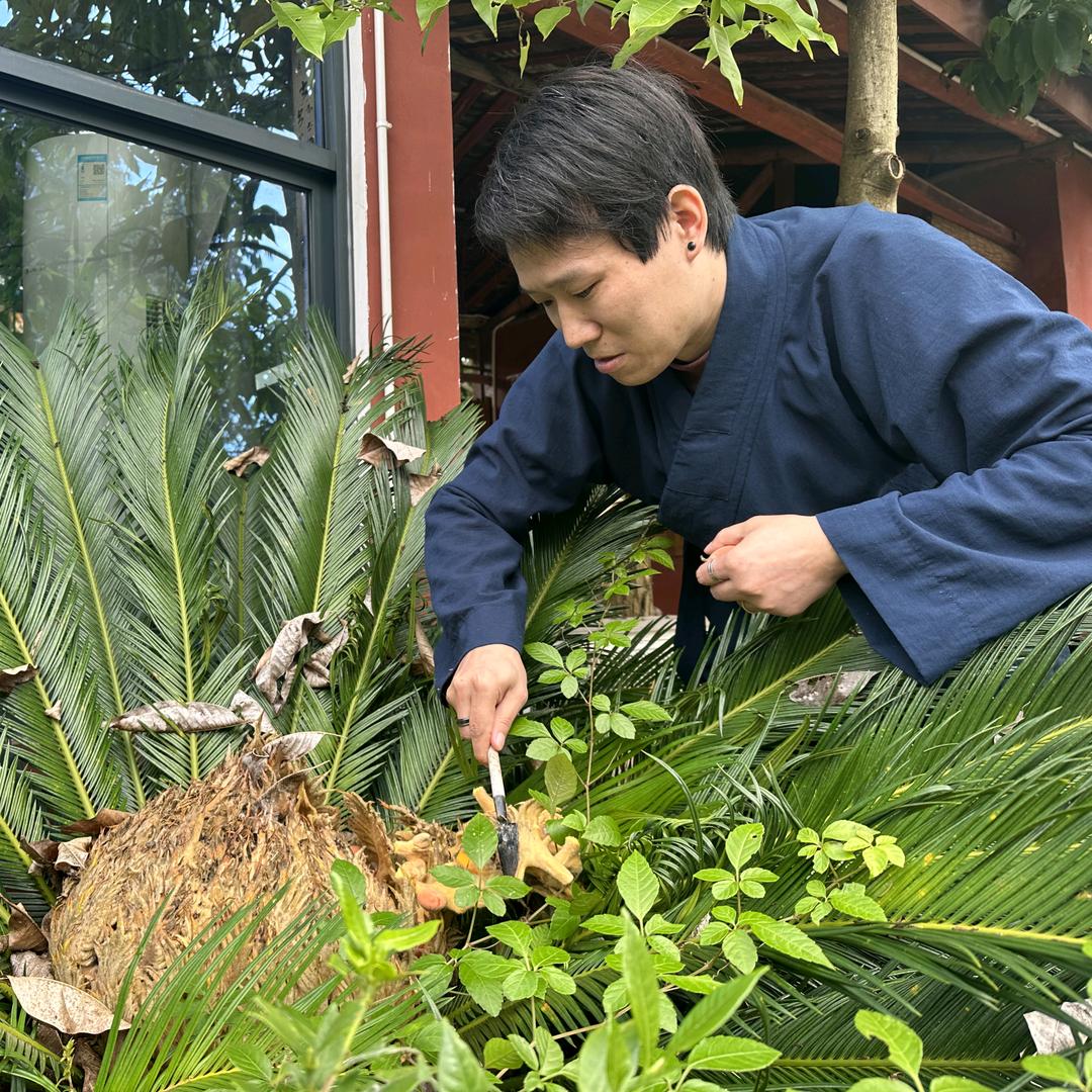 李愈灵