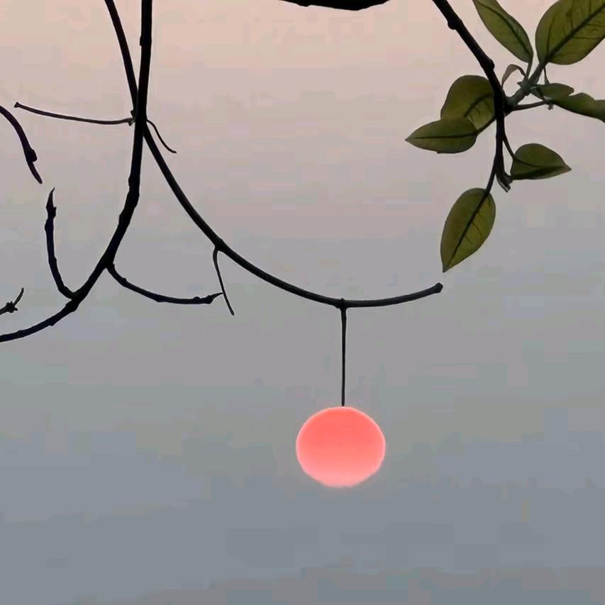 人生长恨水长东、