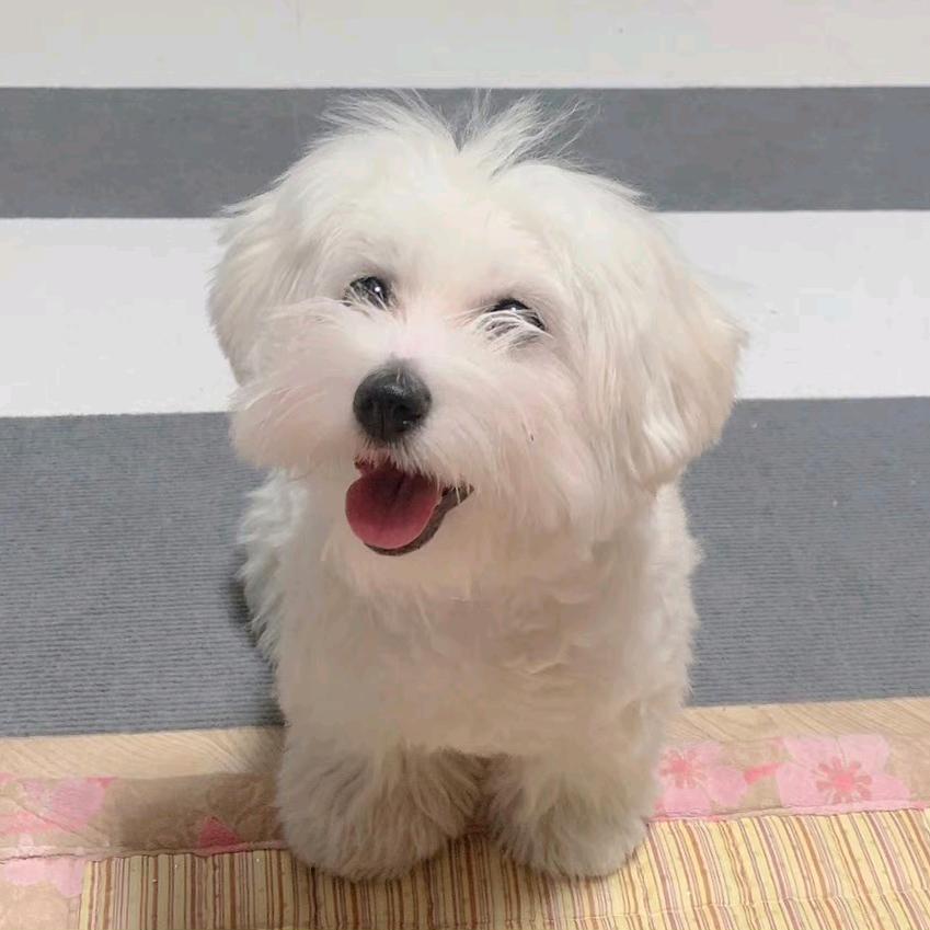 橙晨好物