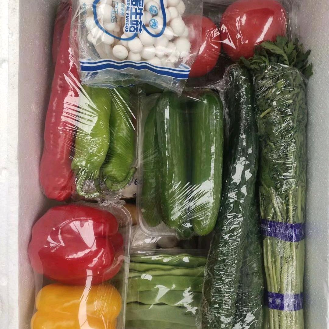 寿光蔬菜小魏