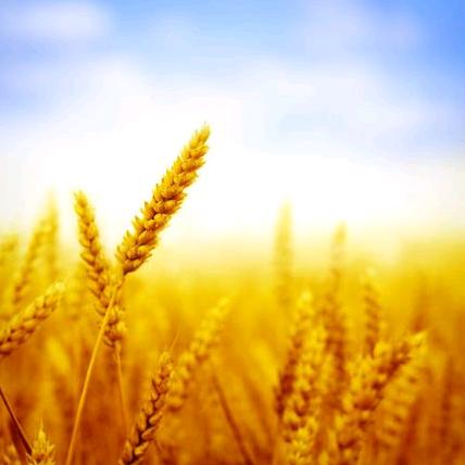 一诺一宸开心每一天