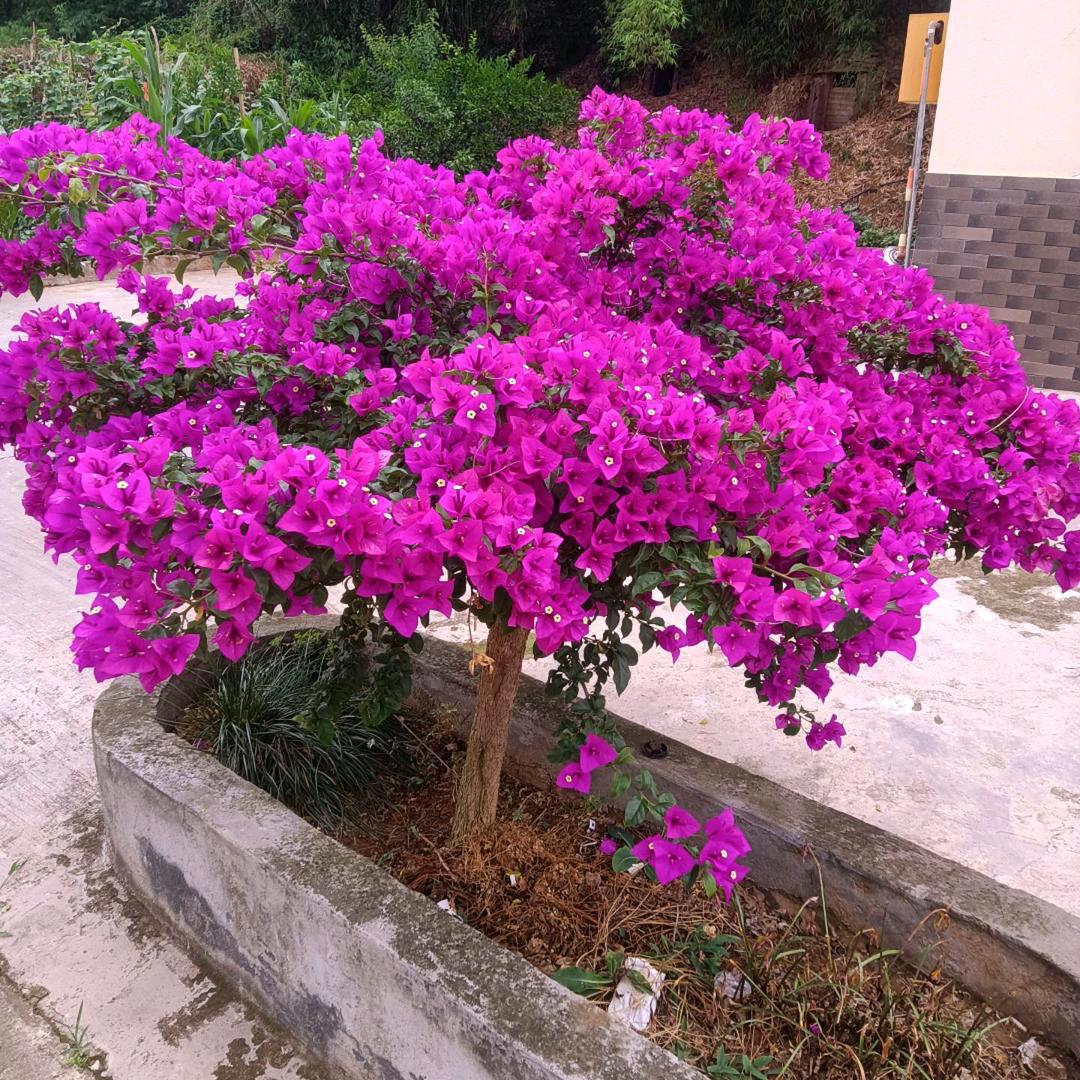 缘来是你