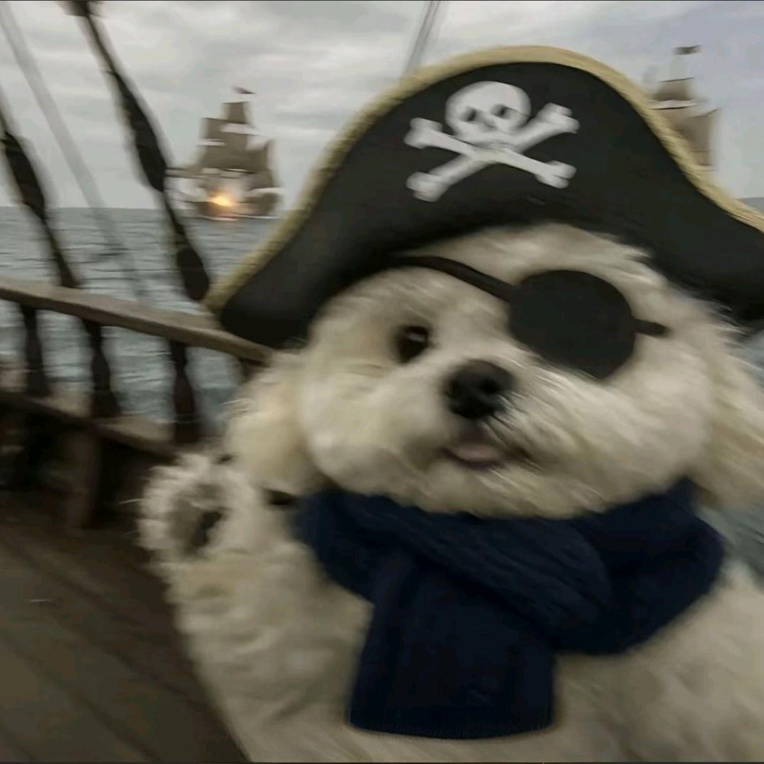 下次一定冒险日记