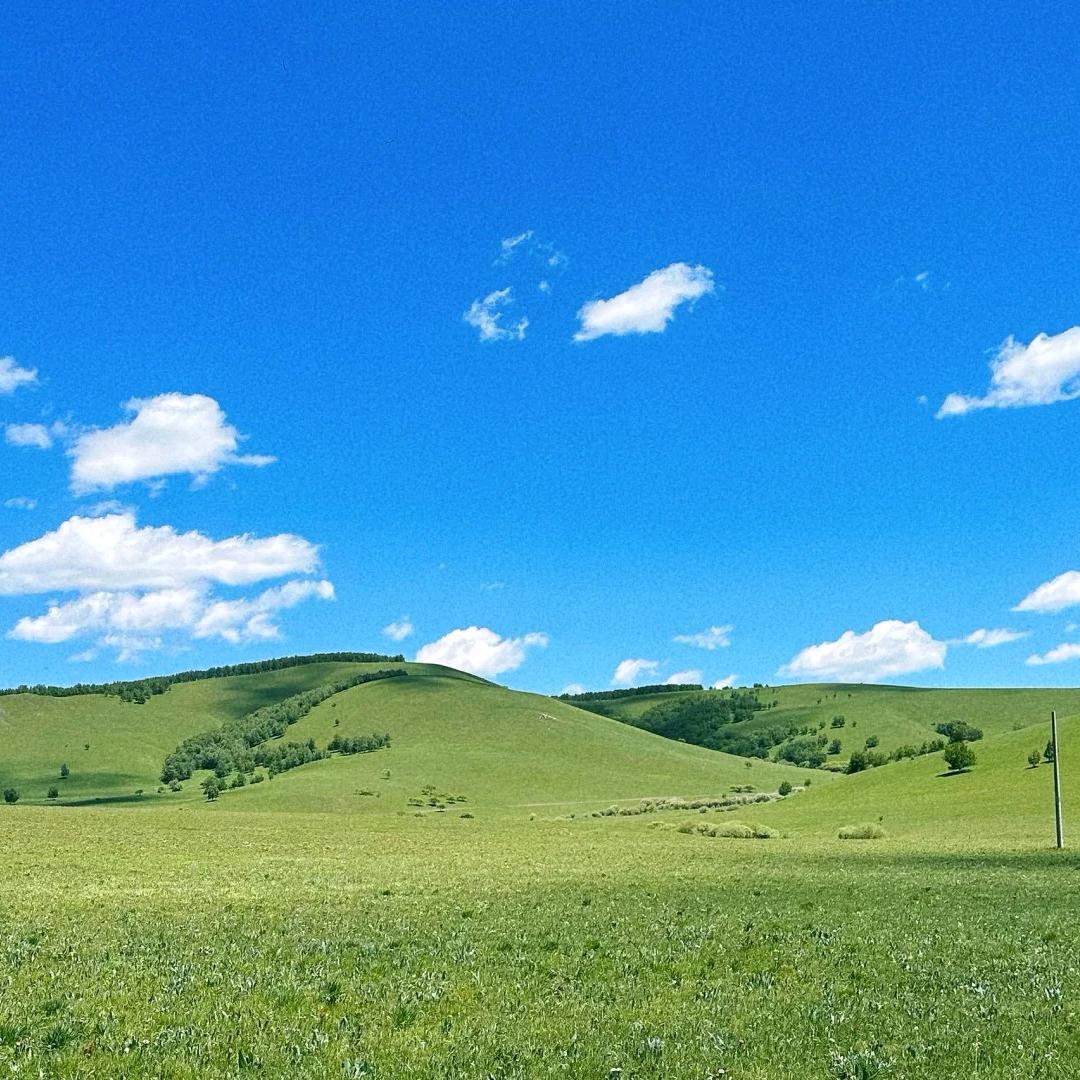 安静🌾
