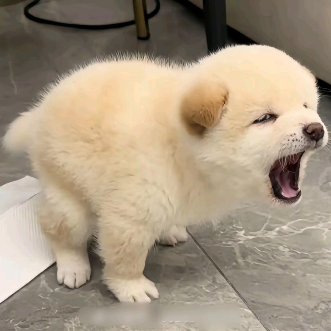 ♬ ゛ 期待 ＊﹏ 那一抹红妆 〆…