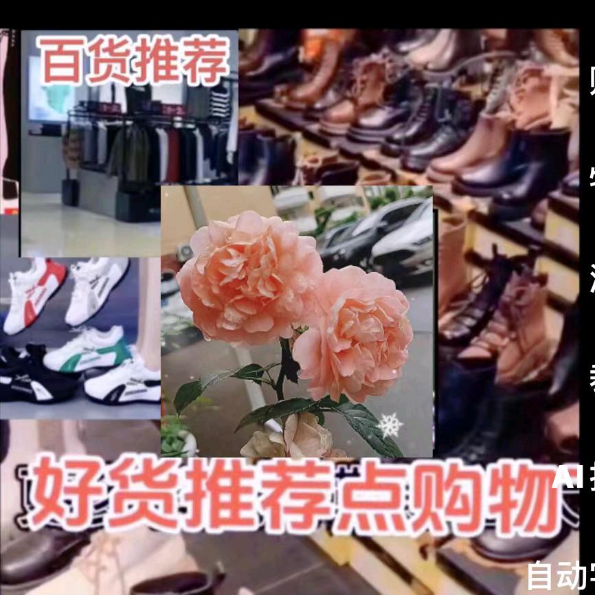 阿珠好物推荐