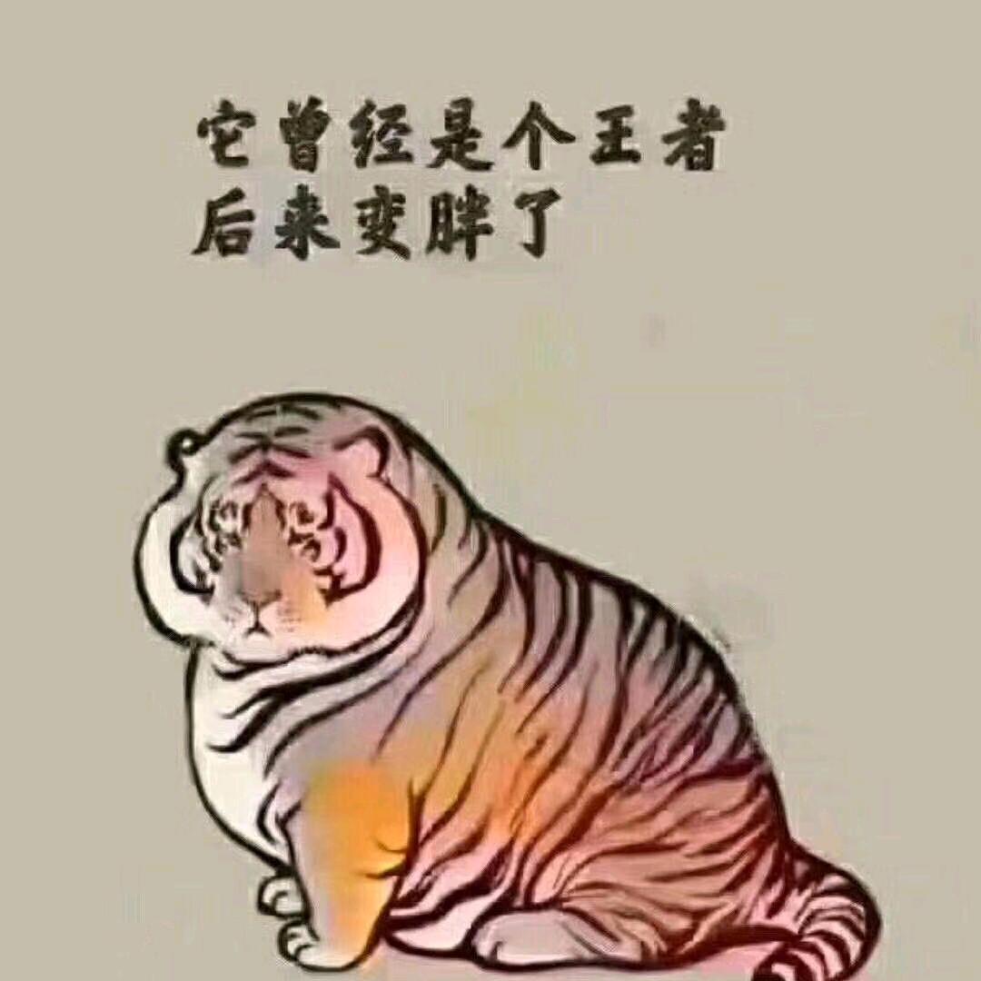 中职教育 综合高中