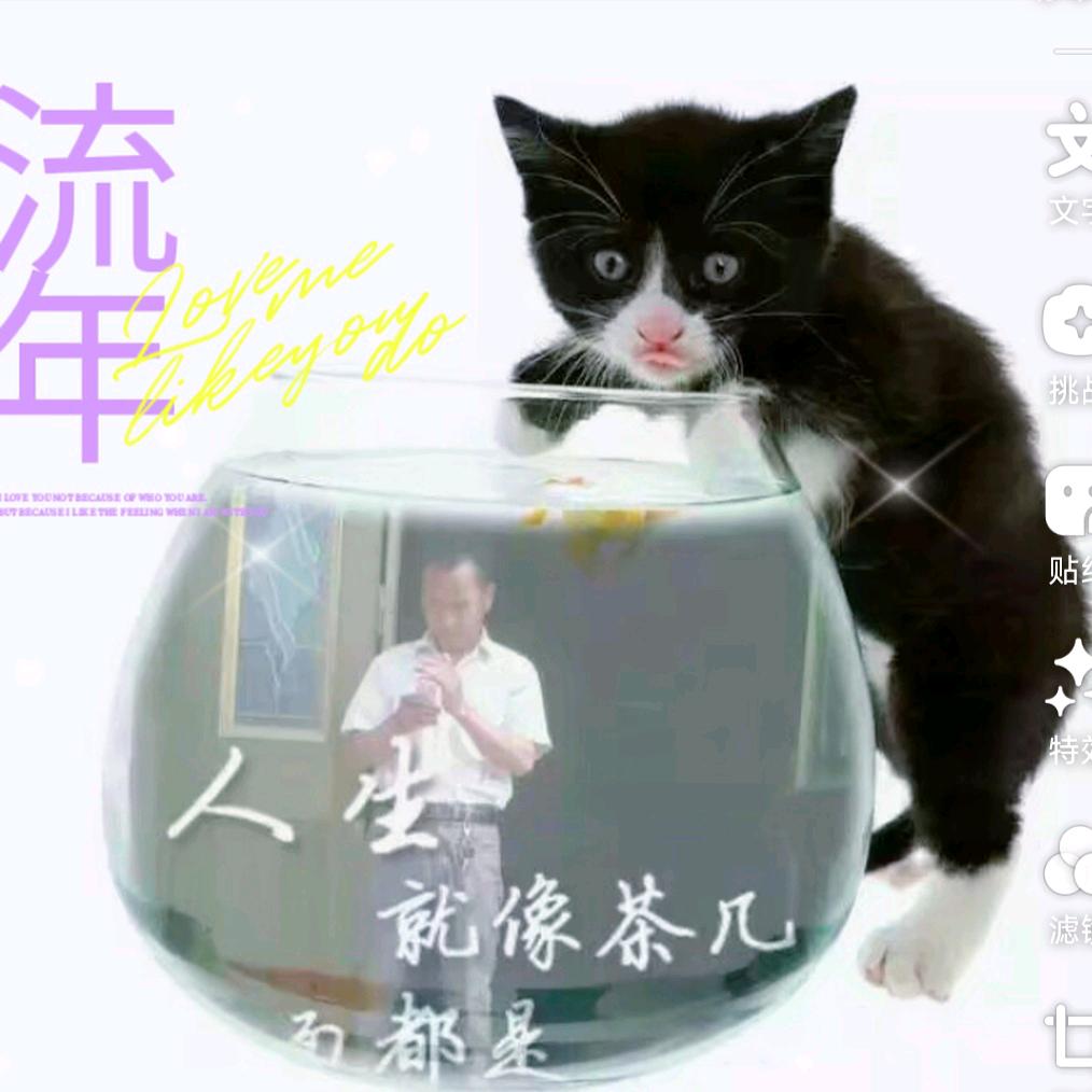 志哥