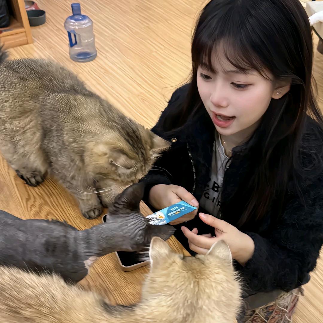 第三人称.