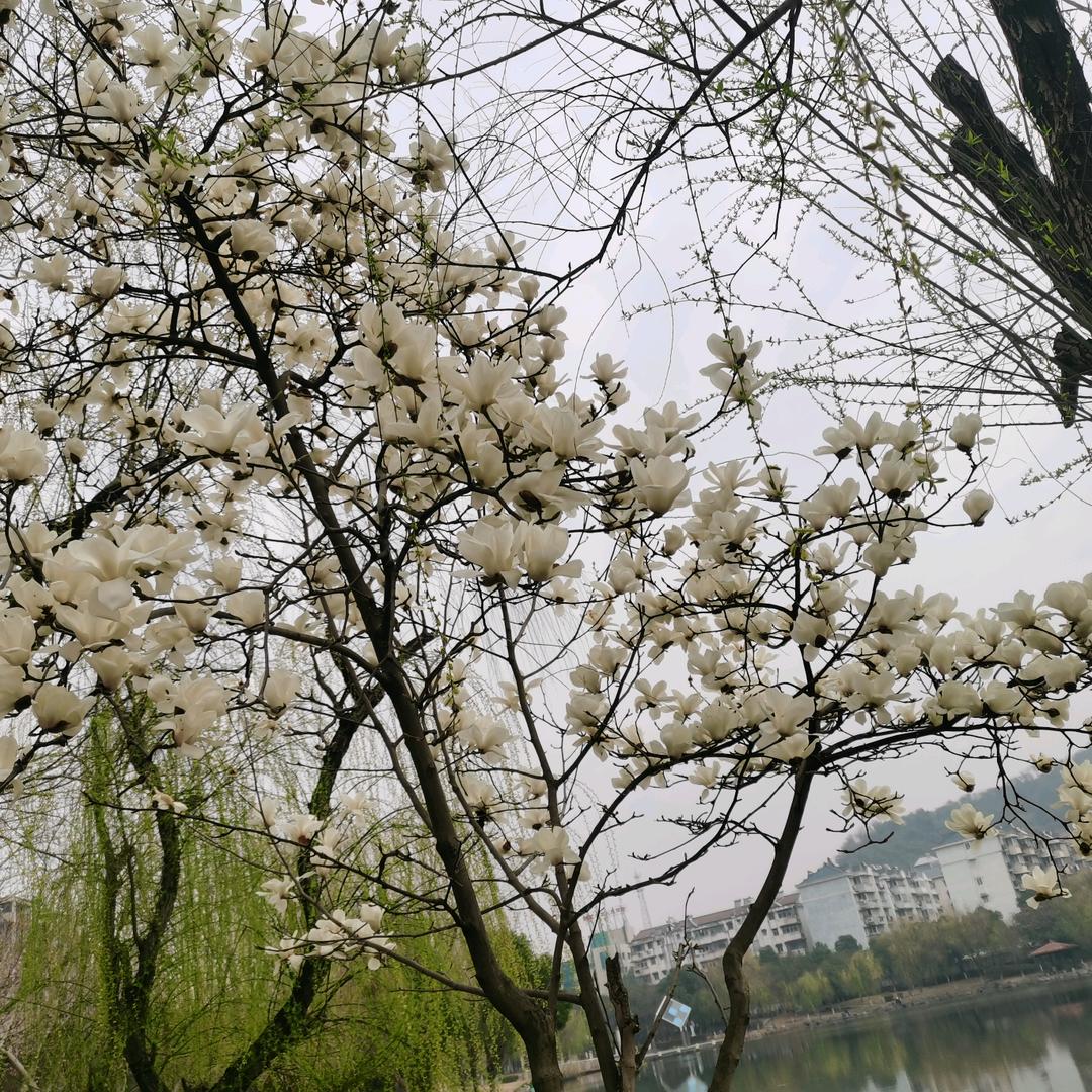春末夏初