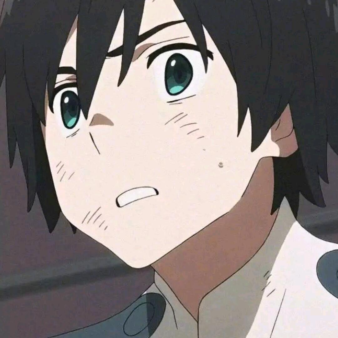 小鱼