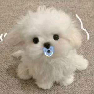 阿妤𝓜𝓺 𝓧𝓷