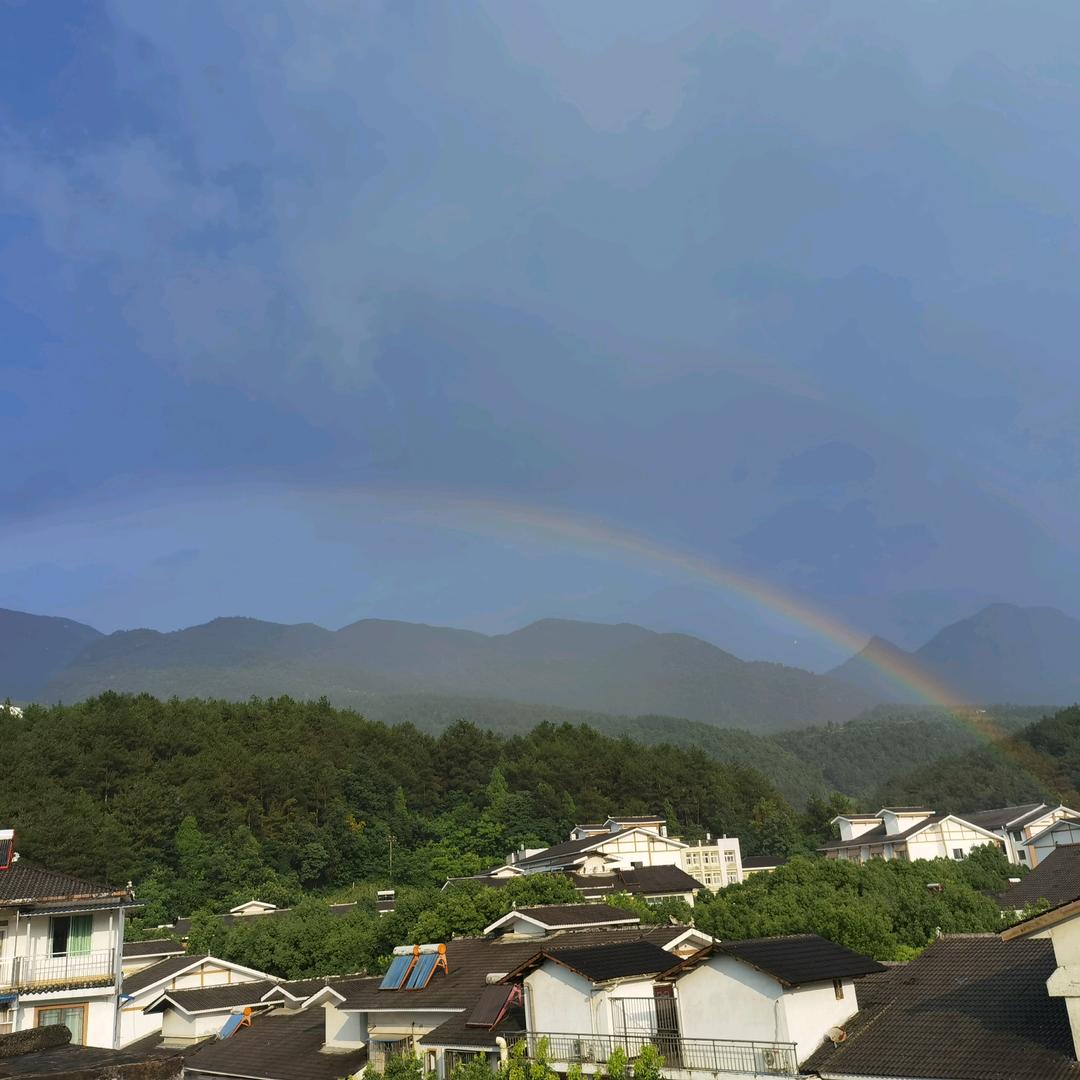 沈丘率回棋综合精品店