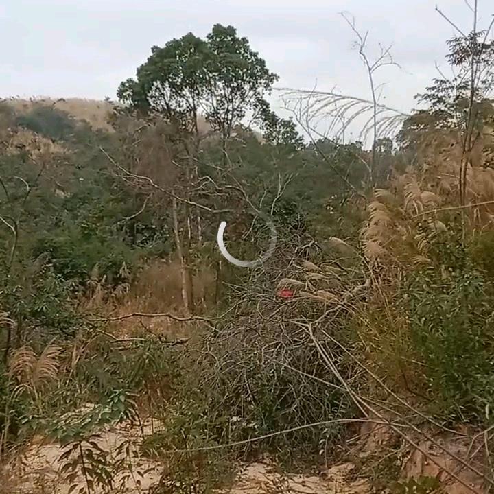 人生如梦