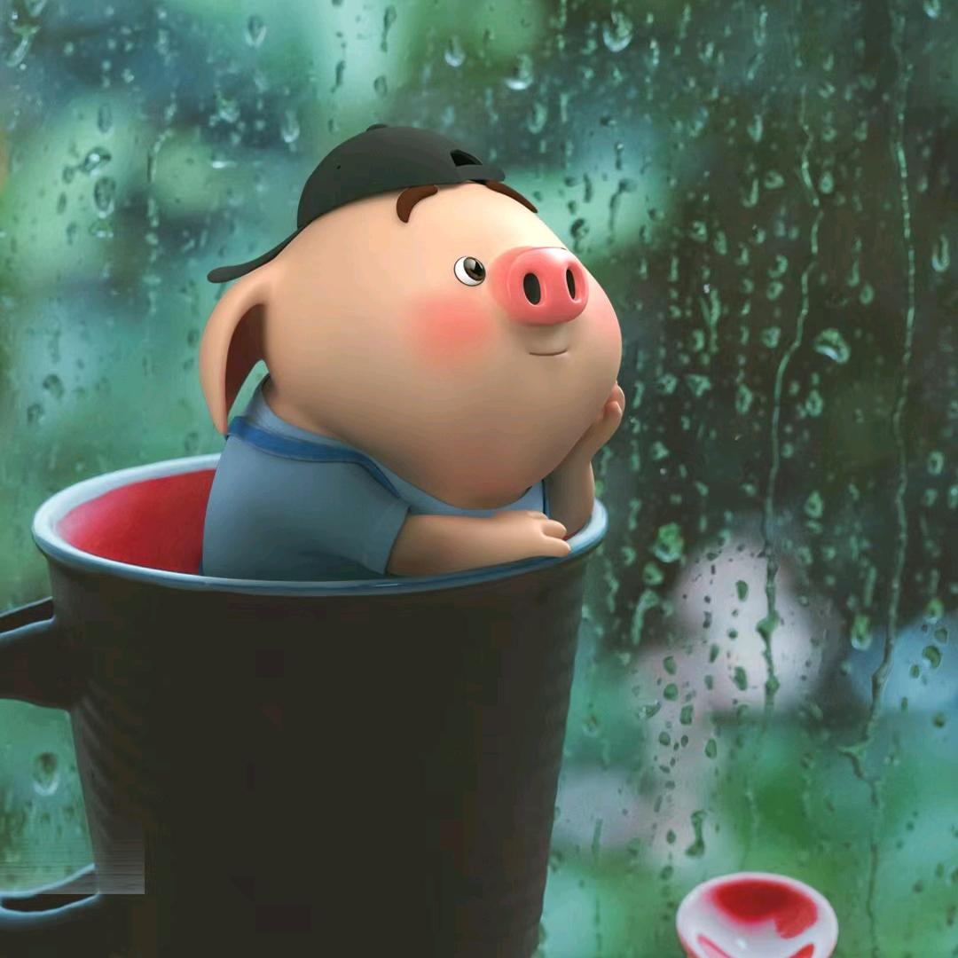 如风一般的女子