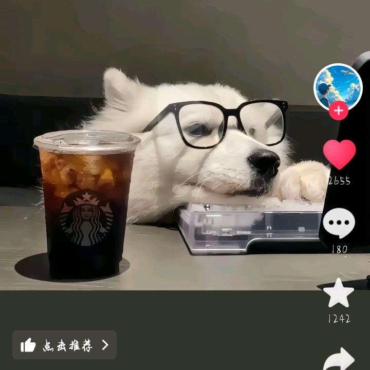 六月▁♡