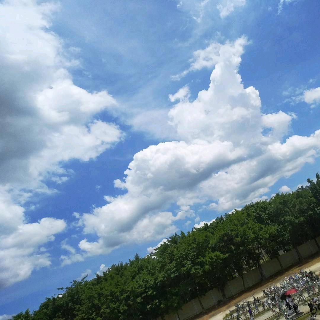小马很忙囧rz