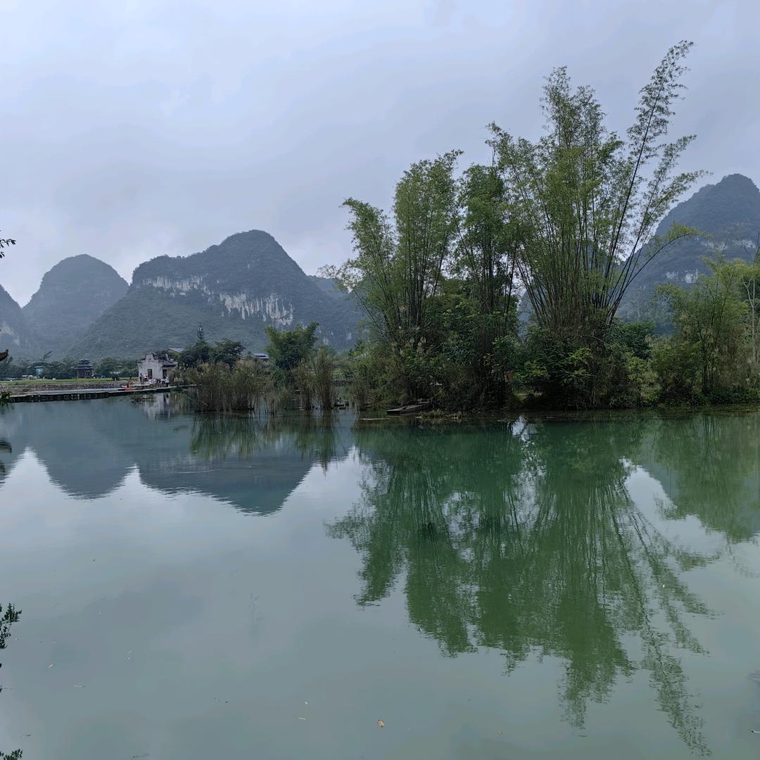 盯