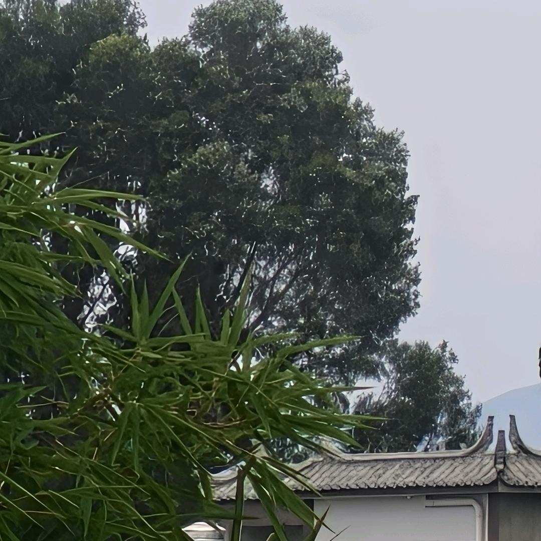 《文》★《哥》