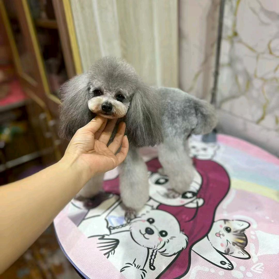 玩儿