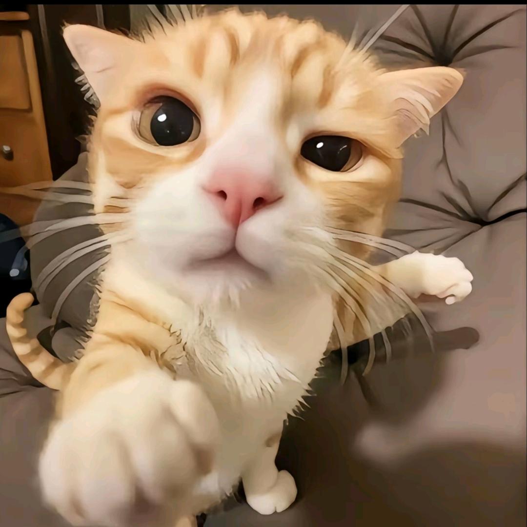 陈亿