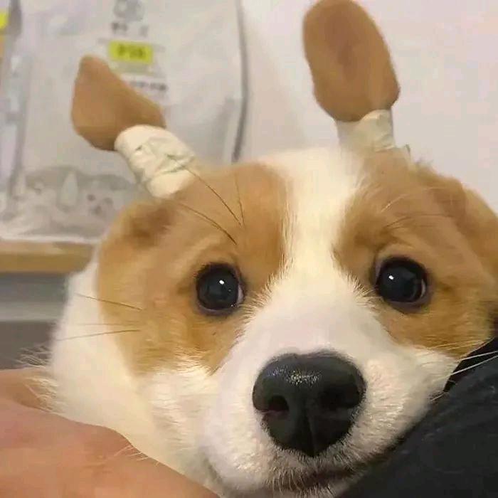 漾